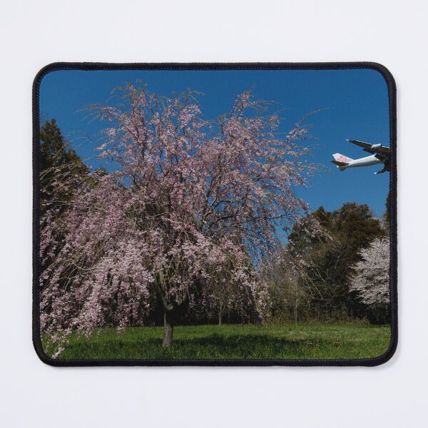 Item preview, China Airlines B747 with Weeping Cherry Blossoms designed and sold by YSJapanPhoto.