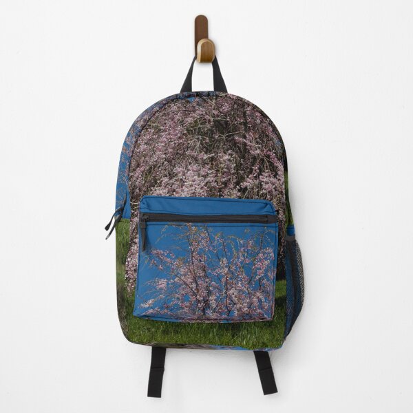 Item preview, China Airlines B747 with Weeping Cherry Blossoms designed and sold by YSJapanPhoto.