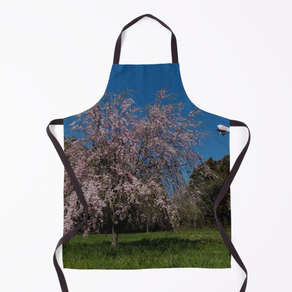 Item preview, China Airlines B747 with Weeping Cherry Blossoms designed and sold by YSJapanPhoto.