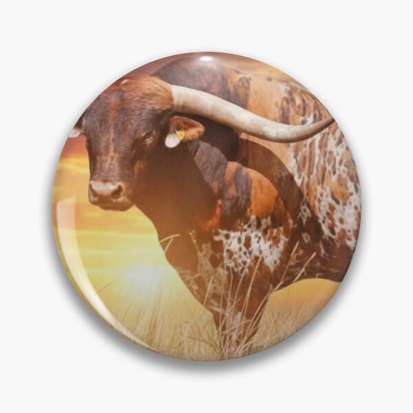 Item preview, Texas Longhorn designed and sold by Ranch Photography .