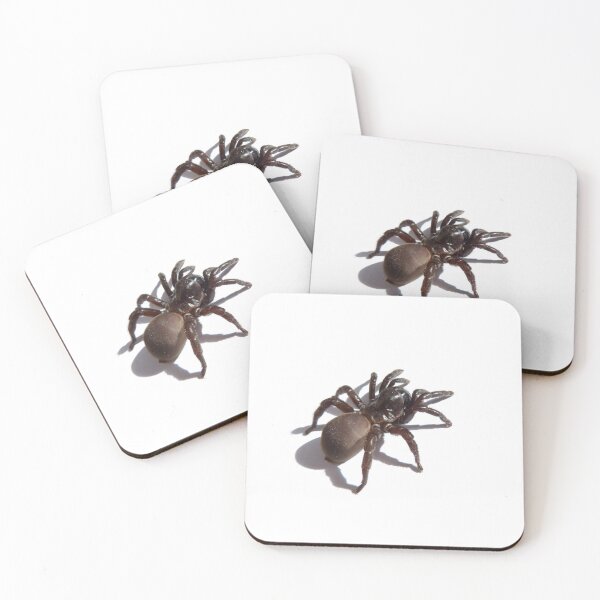 Item preview, SPIDER designed and sold by Dark Arts and BOO.
