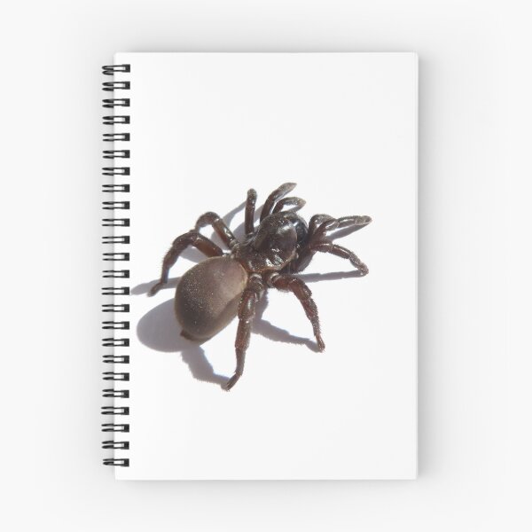 Item preview, SPIDER designed and sold by Dark Arts and BOO.