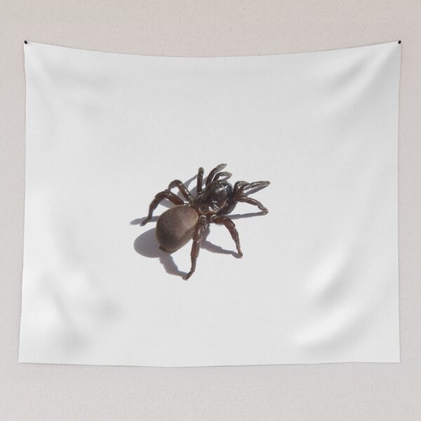 Item preview, SPIDER designed and sold by Dark Arts and BOO.