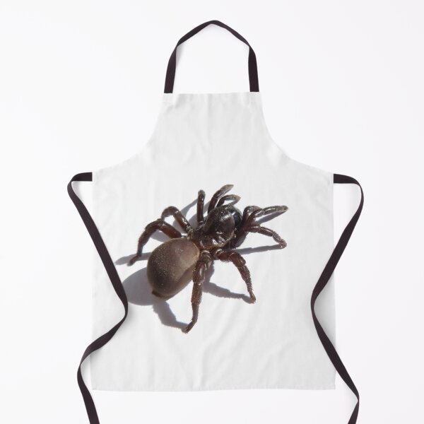 Item preview, SPIDER designed and sold by Dark Arts and BOO.
