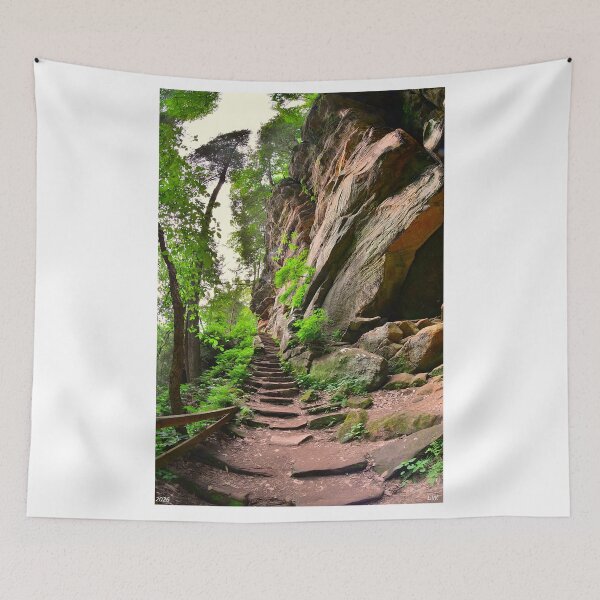 Item preview, Stone Steps At Rock House Hocking Hills State Park designed and sold by LisaWootenPhoto.