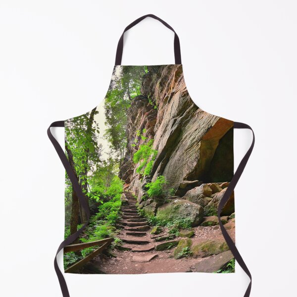 Item preview, Stone Steps At Rock House Hocking Hills State Park designed and sold by LisaWootenPhoto.