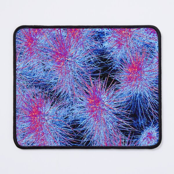 Item preview, Arizona Ground Foliage Cactus in Blues and Reds designed and sold by meganlaub1.