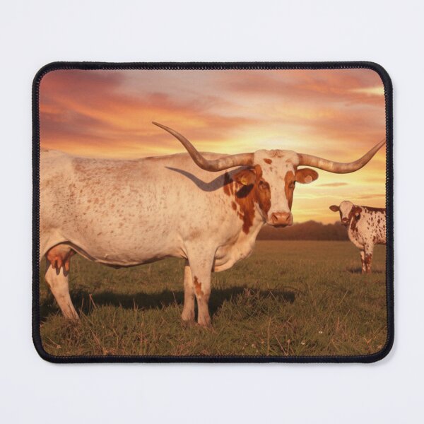 Item preview, Longhorn and calf designed and sold by Ranch Photography .