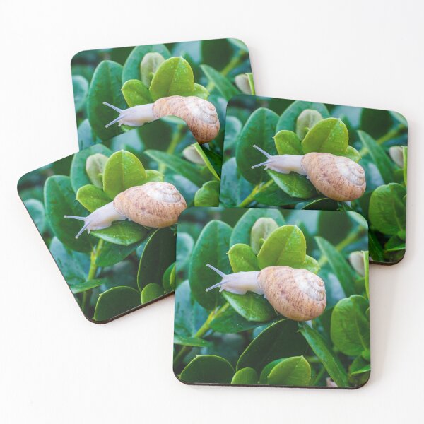 Item preview, Snail on Green Leaves With Brown Spiral Shell Close-Up in Wet Garden Foliage designed and sold by Nmallia.