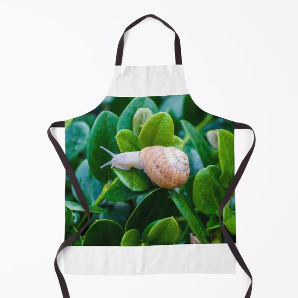 Item preview, Snail on Green Leaves With Brown Spiral Shell Close-Up in Wet Garden Foliage designed and sold by Nmallia.