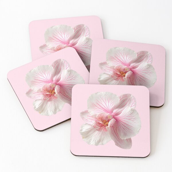 Item preview, Pink Veined White Orchid Flower Photo designed and sold by jianina-alondra.