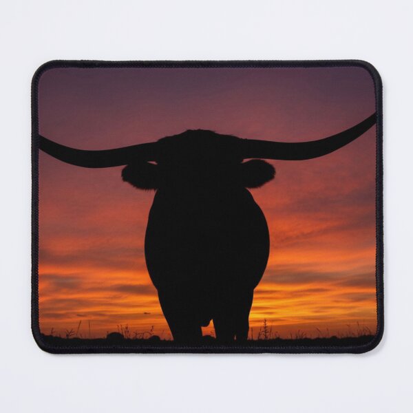 Item preview, Texas Longhorn designed and sold by Ranch Photography .