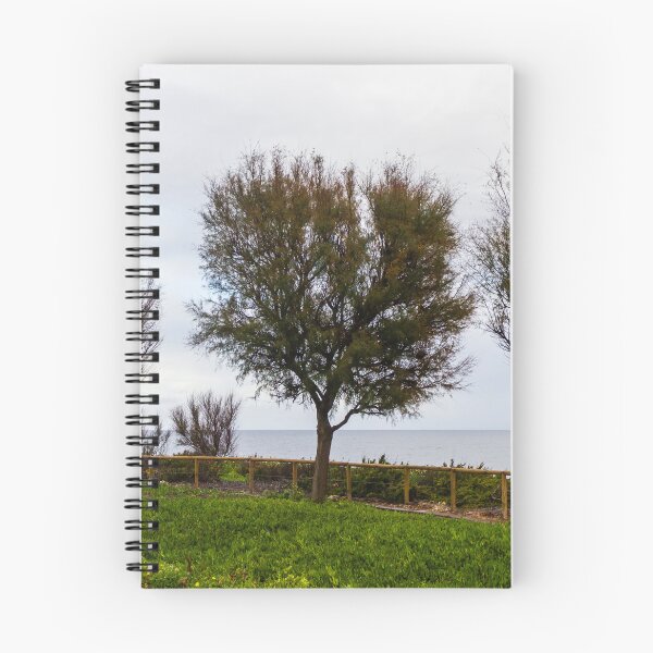 Item preview, Wind-Swept Coastal Trees Along a Green Seaside Path Overlooking Calm Ocean Horizon on Cloudy Day designed and sold by Nmallia.