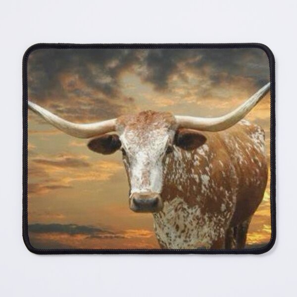Item preview, Texas Longhorn designed and sold by Ranch Photography .