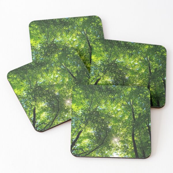 Item preview, Sunlight Through the Emerald Forest Canopy. designed and sold by LoreliNLi.