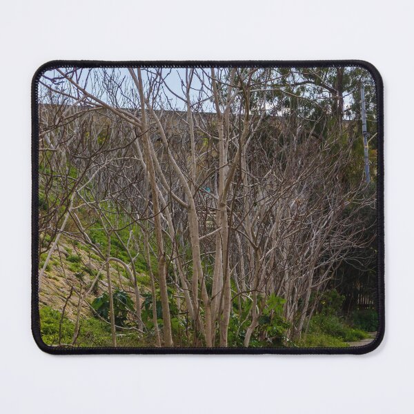 Item preview, Leafless Trees Along Narrow Country Road With Green Undergrowth On A Sunny Day designed and sold by Nmallia.