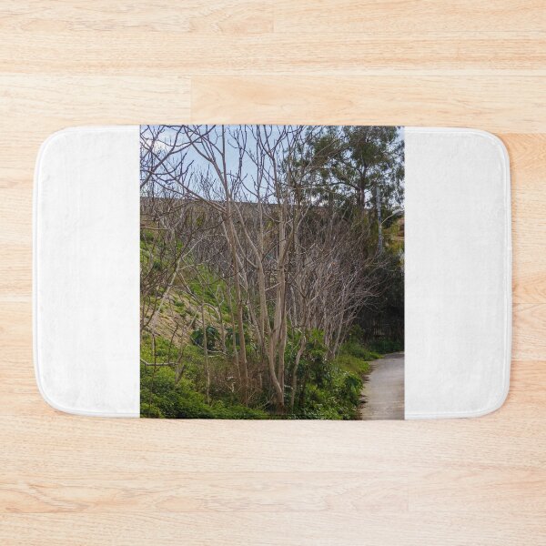 Item preview, Leafless Trees Along Narrow Country Road With Green Undergrowth On A Sunny Day designed and sold by Nmallia.