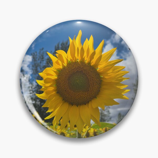 Item preview, Bright Sunflower Bloom and Bumblebee under Blue Sky Photography designed and sold by leonwoods.