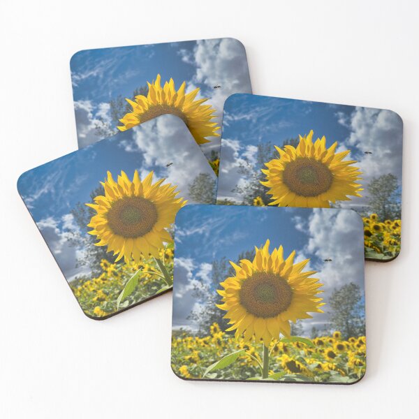 Item preview, Bright Sunflower Bloom and Bumblebee under Blue Sky Photography designed and sold by leonwoods.