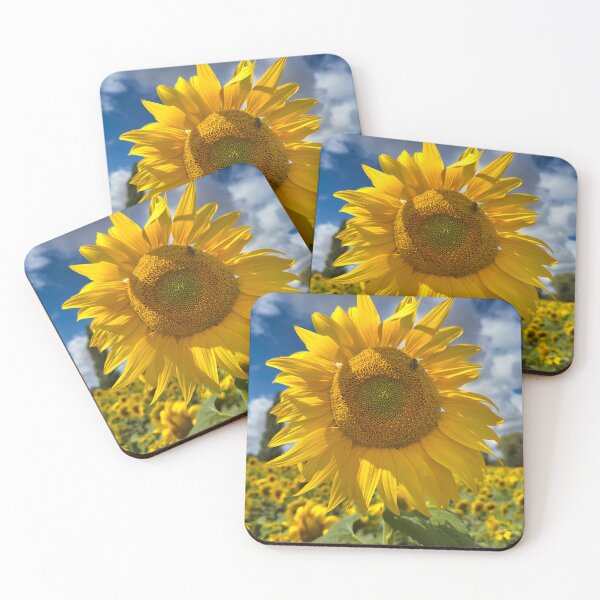 Item preview, Close Up Sunflower Bloom in Field with Bee Photography designed and sold by leonwoods.