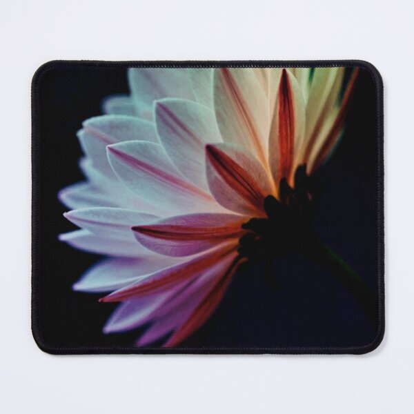 Item preview, Ethereal Glowing Daisy in the Dark designed and sold by WitchyBotanicaArt.
