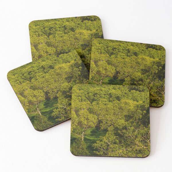 Item preview, Aerial View of Lush Green Forest Canopy in Spring Light With Sunlit Tree Tops and Meadow designed and sold by Nmallia.