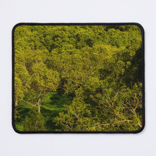 Item preview, Aerial View of Lush Green Forest Canopy in Spring Light With Sunlit Tree Tops and Meadow designed and sold by Nmallia.