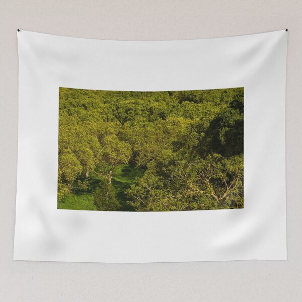 Item preview, Aerial View of Lush Green Forest Canopy in Spring Light With Sunlit Tree Tops and Meadow designed and sold by Nmallia.