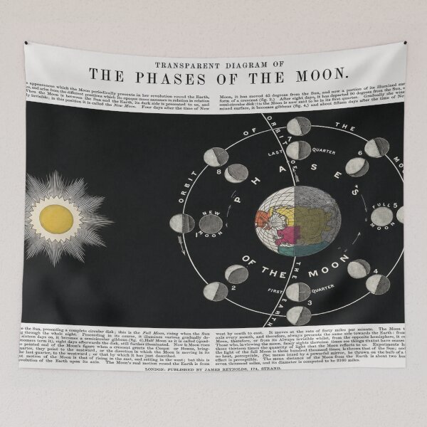 Item preview, Vintage Moon Phases Chart | Restored Astronomical Diagram | Lunar Science Wall Art for Space Enthusiasts designed and sold by RickE.