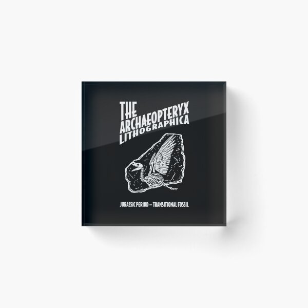Item preview, Archaeopteryx Lithographica Skeleton Fossil - Linocut Paleontology designed and sold by cyareq.