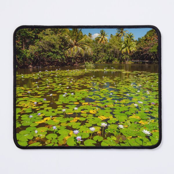 Item preview, Waterlily pond designed and sold by Alla Gill.