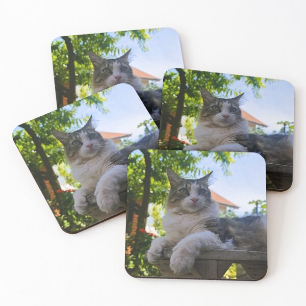 Item preview, Majestic Garden Cat Photography designed and sold by MB-CatPrints.