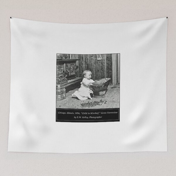Item preview, Chicago, Illinois, 1894, "Child in Mischief," Genre Stereoview by E.W. Kelley, Photographer designed and sold by AMacGPhilly.