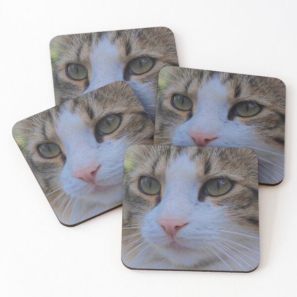 Item preview, Cat Close-Up Photography designed and sold by MB-CatPrints.