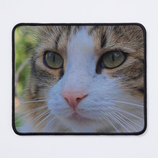 Item preview, Cat Close-Up Photography designed and sold by MB-CatPrints.