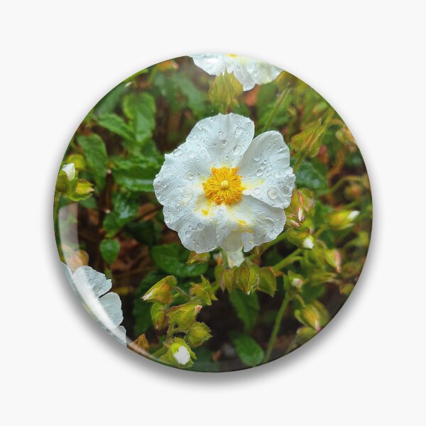 Item preview, Rain-Kissed White Wildflowers designed and sold by rabeya-asr.