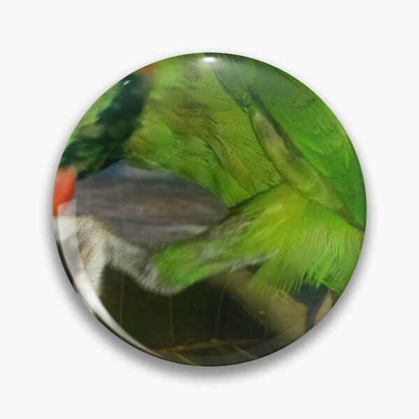 Item preview, Parrot diet designed and sold by AWADHESH  CHAURASIA.