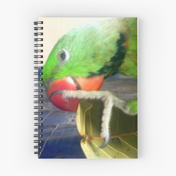 Item preview, Parrot diet designed and sold by AWADHESH  CHAURASIA.