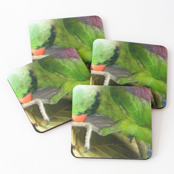 Item preview, Parrot diet designed and sold by AWADHESH  CHAURASIA.