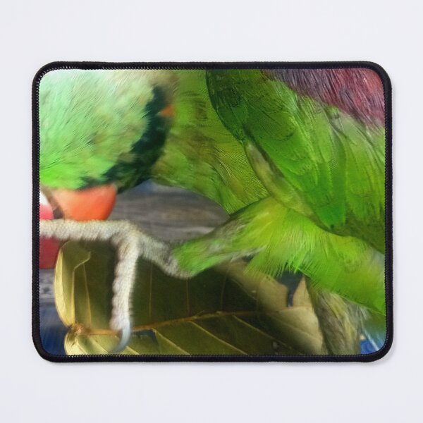 Item preview, Parrot diet designed and sold by AWADHESH CHAURASIA.