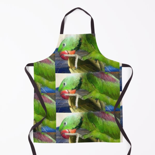Item preview, Parrot diet designed and sold by AWADHESH CHAURASIA.