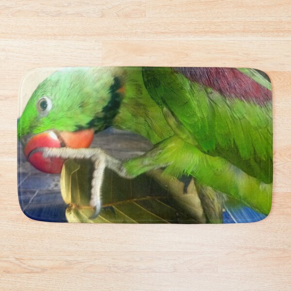 Item preview, Parrot diet designed and sold by AWADHESH  CHAURASIA.