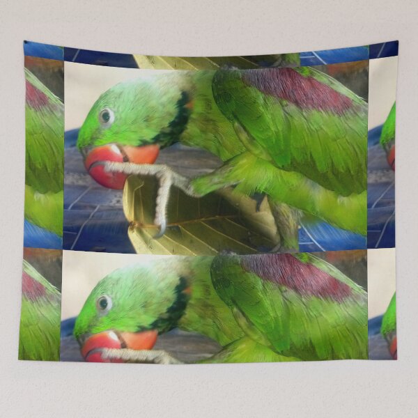 Item preview, Parrot diet designed and sold by AWADHESH  CHAURASIA.