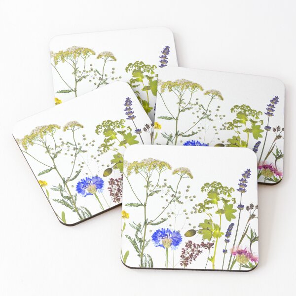 Item preview, Pressed Wildflower Meadow: Bright Herbarium Botanical Border designed and sold by Catrinann.
