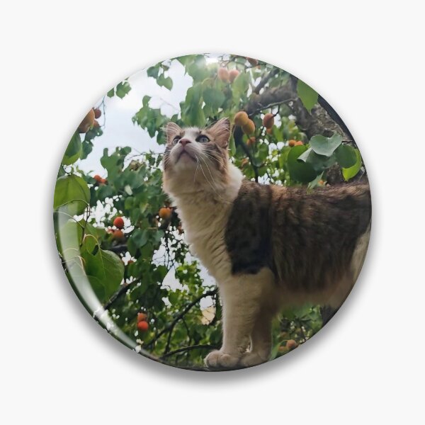 Item preview, Cat in an Apricot Tree Photography designed and sold by MB-CatPrints.
