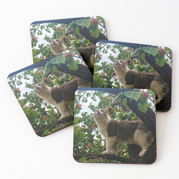 Item preview, Cat in an Apricot Tree Photography designed and sold by MB-CatPrints.