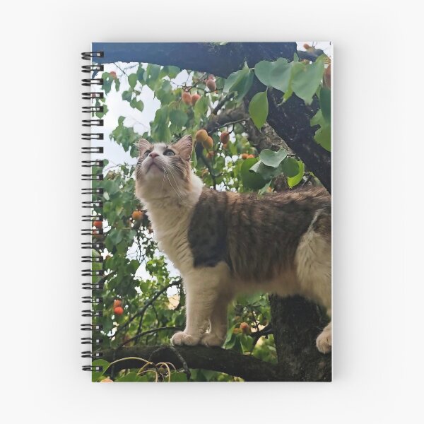 Item preview, Cat in an Apricot Tree Photography designed and sold by MB-CatPrints.