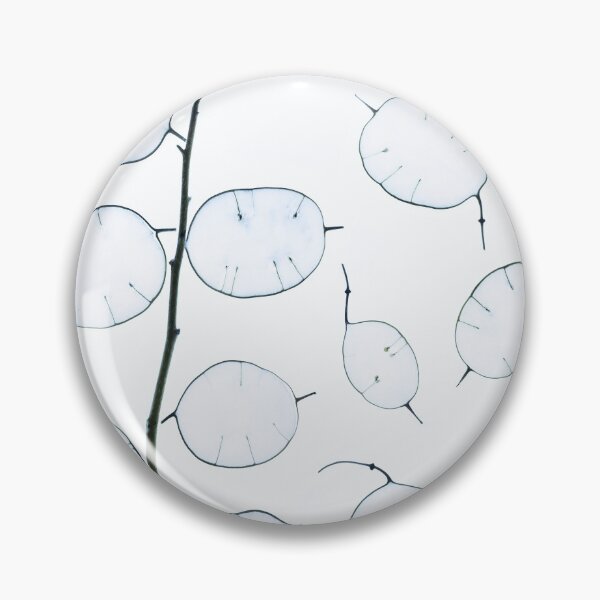 Item preview, Minimalist Lunaria Silver Dollar: Translucent Honesty Plant Herbarium designed and sold by Catrinann.