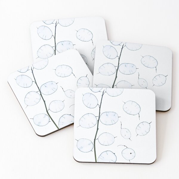 Item preview, Minimalist Lunaria Silver Dollar: Translucent Honesty Plant Herbarium designed and sold by Catrinann.