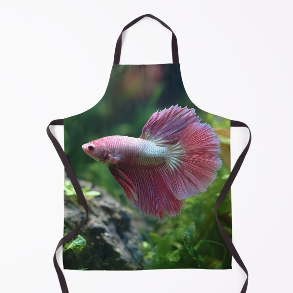 Item preview, Pink male betta in planted aquarium designed and sold by ScienceRex.
